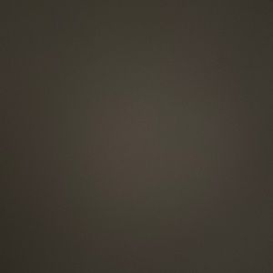 Meet your Posher, Anne